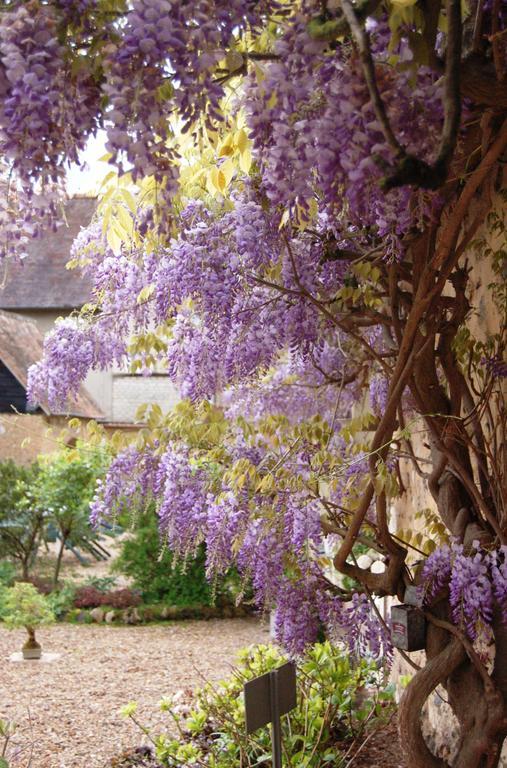 La Chaiserie La Croix-Saint-Leufroy Eksteriør billede